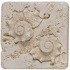 Tesoro Fossil Listello Conch Tile & Stone