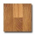Witex Mainstay Colonial Oak Laminate Flooring