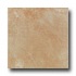 Laufen Tahoe 8 X 12 Beige Tile & Stone