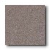 Crossville Cross-plus 12 X 12 Graphite Tile  and  Ston