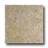 Alfagres Tumbled Marble 12 X 12 Polished Cafe Pint