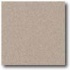 Daltile Porcealto (textured) 12 X 12 Grigio Granite (graniti) Ti