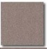 Daltile Porcealto (polished) 12 X 12 Grigio Scuro (graniti) Tile