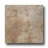 Monocibec Ceramica Graal 10 X 10 Perceval Tile  and  S