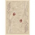 Milliken Dew 8 X 11 Opal Coral Area Rugs