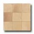 Daltile Valle D Aosta 20 X 20 Sabbia Noce Tile & Stone