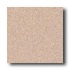 Crossville Cross-slate 6 X 6 Sand Bisque Tile  and  St