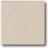 Daltile Porcealto (textured) 12 X 12 Bianco Alpi (graniti) Tile