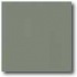 Daltile Porcealto (polished) 18 X 18 Verde Tile & Stone