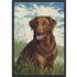 Milliken Hautman Collection 3 X 4 Chocolate Lab Area Rugs