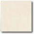 Daltile Porcealto (textured) 12 X 12 Bianco Ghiaccio (solid) Til