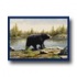 Milliken Hautman Collection 3 X 4 Black Bear Area Rugs