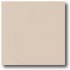 Daltile Porcealto (textured) 12 X 12 Bianco Tile & Stone