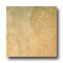 Tilecrest Alicia 6 1/2 X 6 1/2 Almond Tile & Stone
