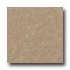 Santa Regina Architectural 16 X 16 (polished) Desert Tan Terrazz