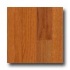 Zickgraf Country Collection 3 1/4 Oak Butterscotch Hardwood Floo