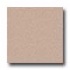 Congoleum Ultima - Pebble Creek Multi Stoned Terra Cotta Vinyl F