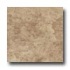 Leonardo Ceramica Rapolano 18 X 18 Noce Tile  and  Sto