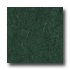 Armstrong Marmorette With Naturcote Holly Green Vi