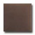 Tilecrest Bellisima 3 X 6 Chestnut Tile & Stone