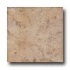 Leonardo Ceramica Fiorito 12 X 12 Noce Tile  and  Ston