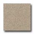 Santa Regina Architectural 24 X 24 (polished) Spec