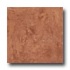 Ergon Tile Alabastro Evo 16 X 16 Polished Rosso Tile & Stone