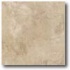 Daltile Gold Rush 6 X 6 Goldust Tile & Stone