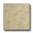 Portobello Catalina 13 X 13 Palm Tile & Stone