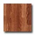 Pergo Everyday Red Oak Laminate Flooring