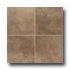 Mohawk Paradiso 20 X 20 Brun Tile & Stone