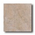 Tesoro Cerdomus Tuscany 13 X 13 Gold Tile & Stone