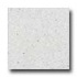 Santa Regina Architectural 16 X 16 (polished) Bone White Terrazz