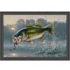 Milliken Hautman Collection 3 X 4 Jumping Bass Area Rugs