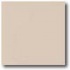Daltile Porcealto (polished) 18 X 18 Bianco Tile & Stone