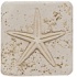 Tesoro Fossil Listello Star Tile & Stone