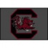 Logo Rugs South Carolina University South Carolina