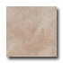 Energie Ker Como 20 X 20 Noce Tile  and  Stone