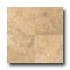 Daltile Marble Honed 12 X 12 Damascus Gold Tile & Stone