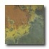 Pastorelli Overland 18 X 18 Dark Moss Tile  and  Stone