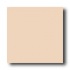 American Olean Unglazed Ceramic Mosaics - Abrasive 1 X 1 Peach C