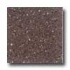 Santa Regina Architectural 16 X 16 (polished) Plum Terrazzo Tile