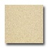 Armstrong Medintech Tandem Inlaid Oatmeal Vinyl Fl