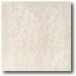 Daltile Landscape (polished) 12 X 12 Paros Polished Tile & Stone