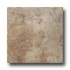 Monocibec Ceramica Graal 20 X 20 Perceval Tile  and  S