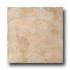 Monocibec Ceramica Graal 10 X 10 Sinclair Tile  and  S