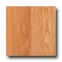 Witex Town And Country Premium Oak Laminate Flooring