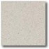 Daltile Porcealto (polished) 18 X 18 Bianco Apuania Tile & Stone