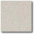 Daltile Porcealto (textured) 12 X 12 Bianco Apuania Tile & Stone