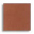 Daltile Natural Hues 3 X 6 Tuscany Tile  and  Stone